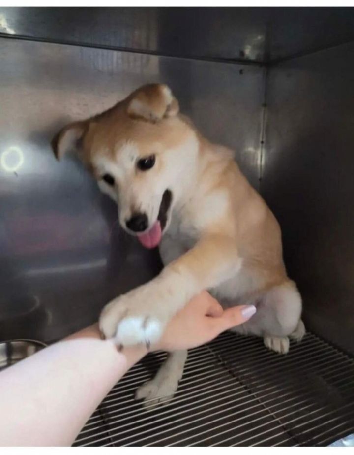 20230203151225_D0MAZSrhZZ.jpg