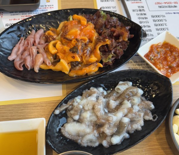 모듬회 모듬해물