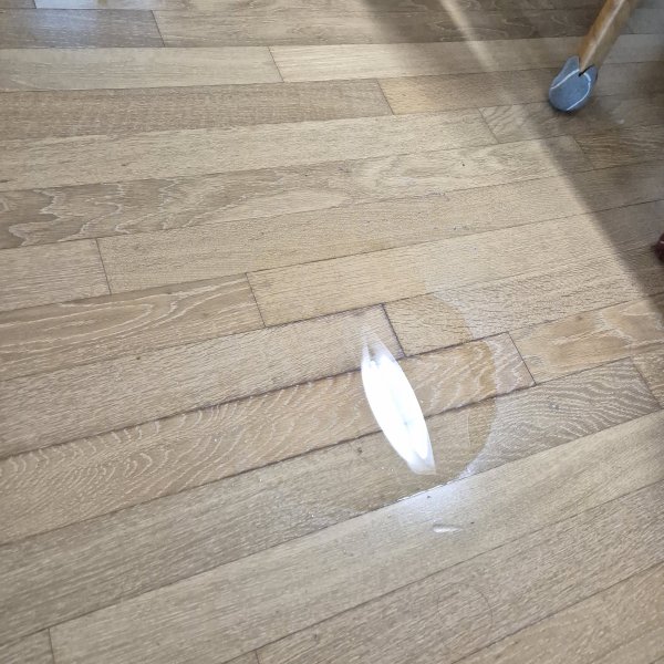 1000027213.jpg
