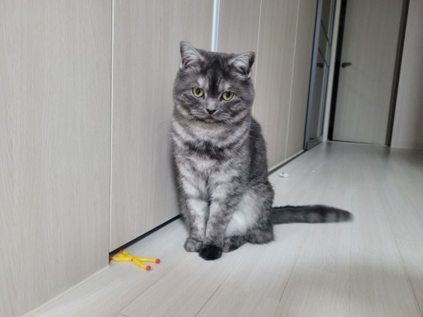 우리집 깜지