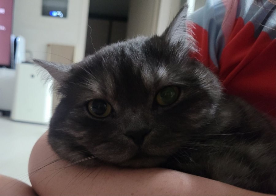 츮 