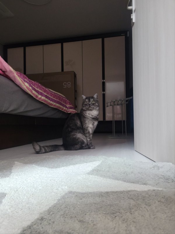 우리집 깜지