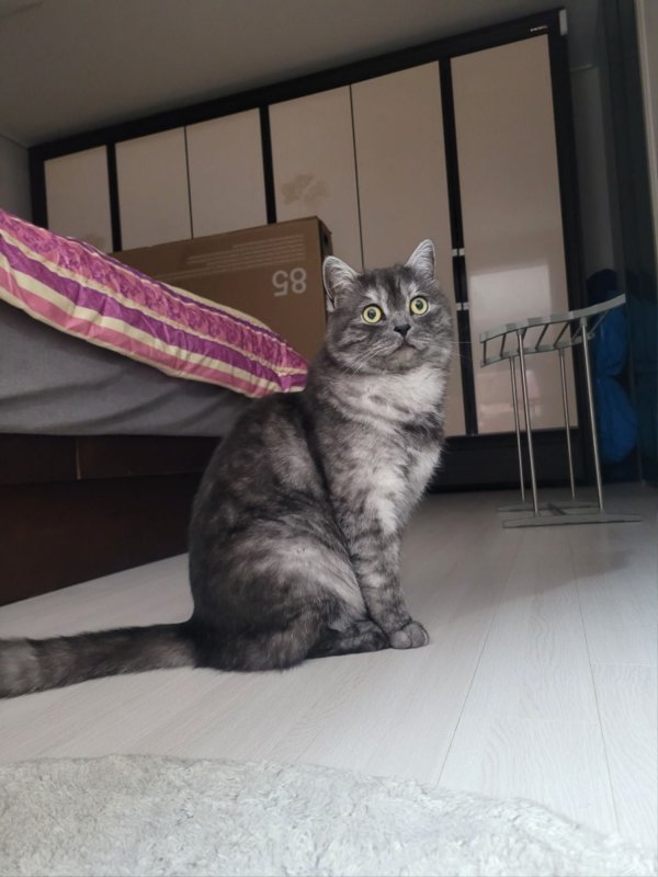 우리집 깜지