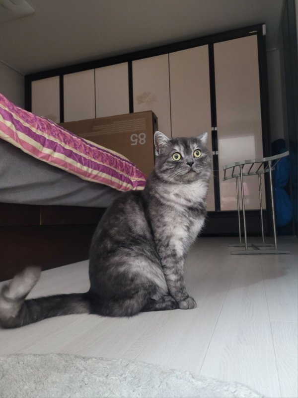 우리집 깜지