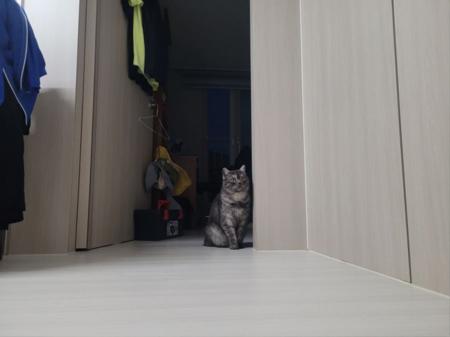 츮 