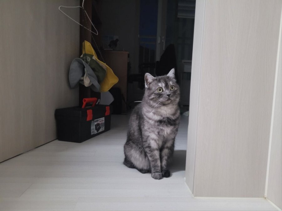 츮 