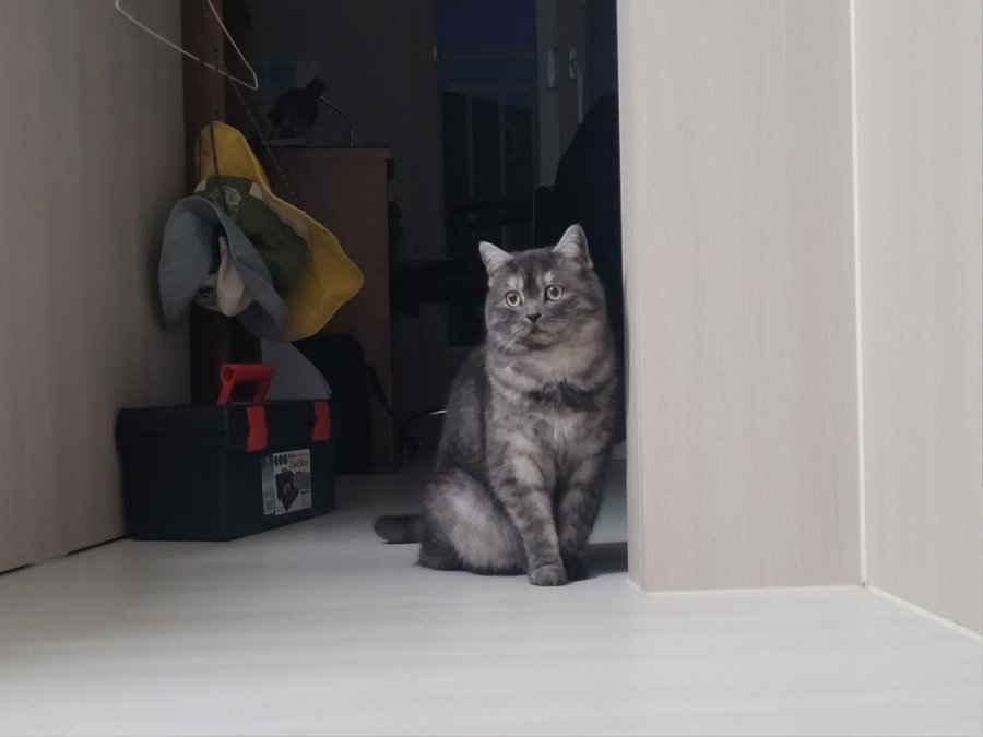 츮 