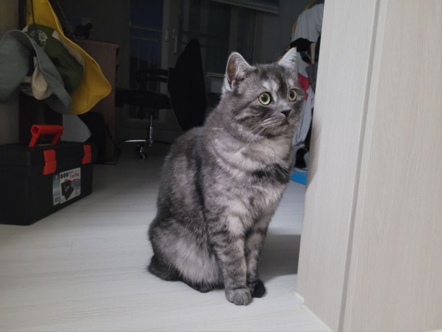 츮 