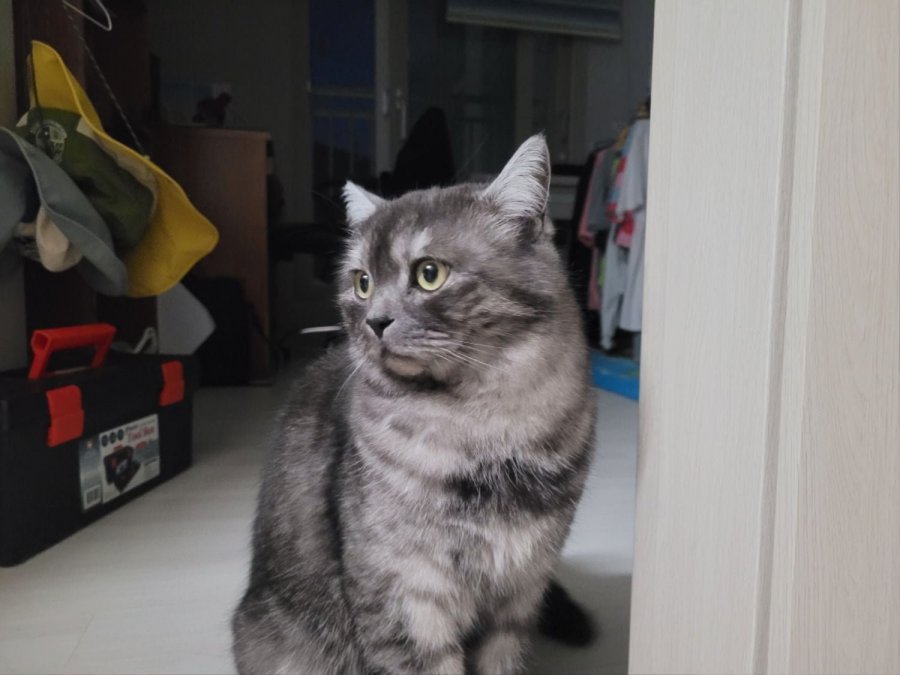 츮 