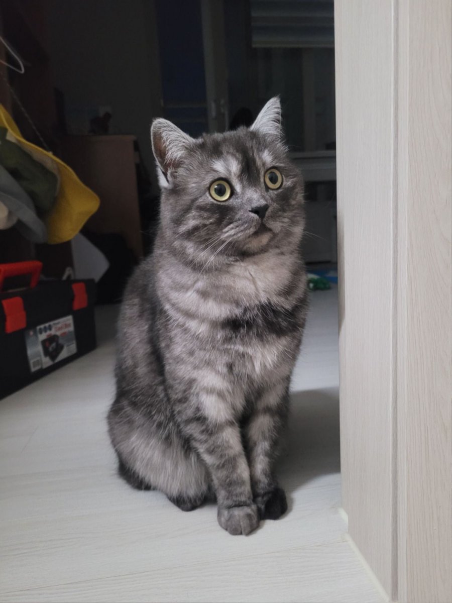츮 