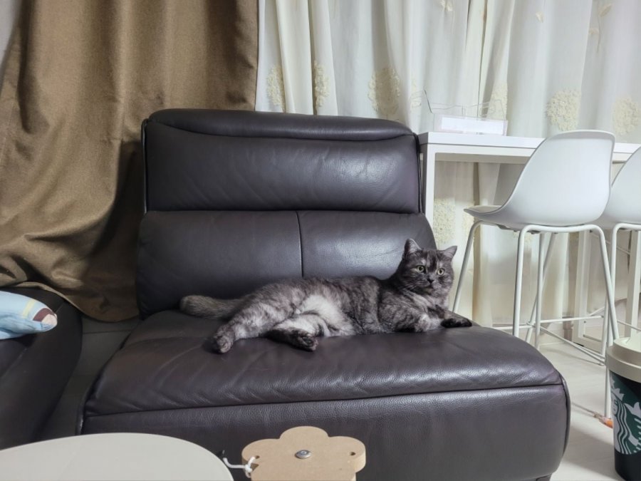 츮 