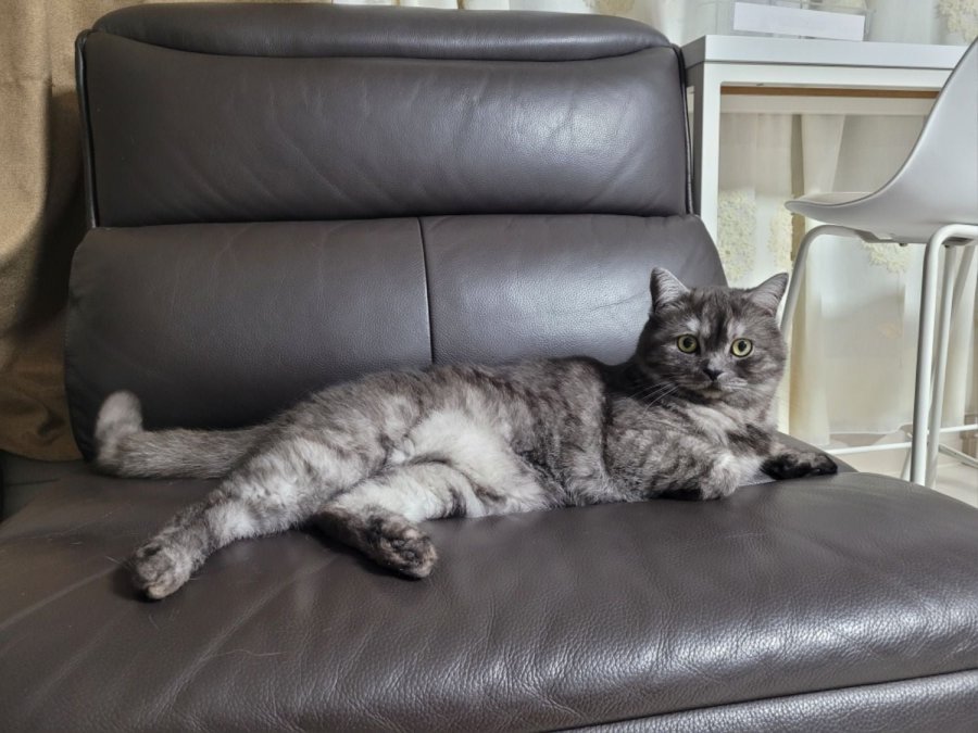 츮 
