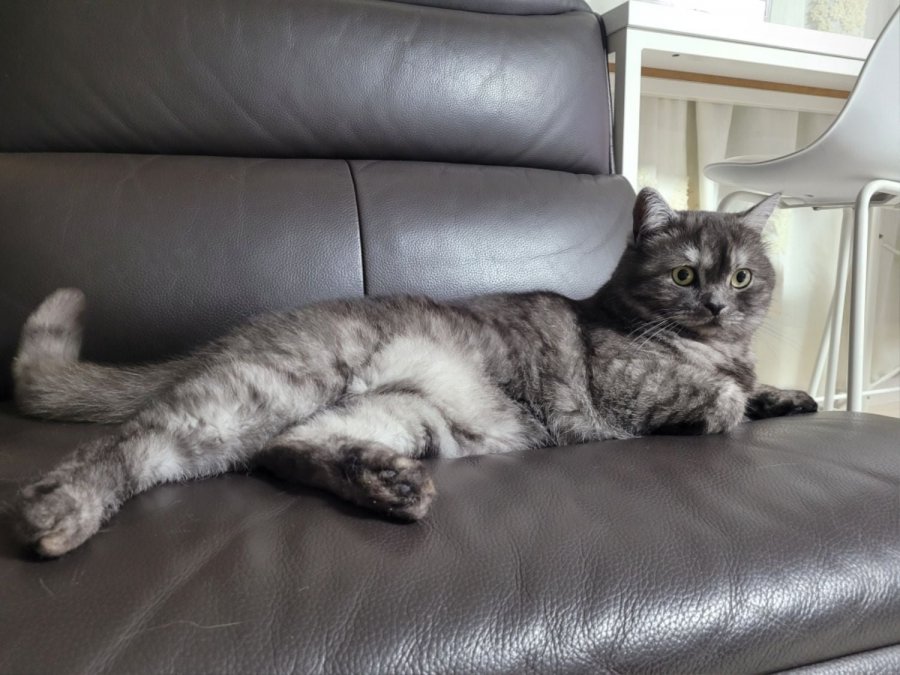 츮 