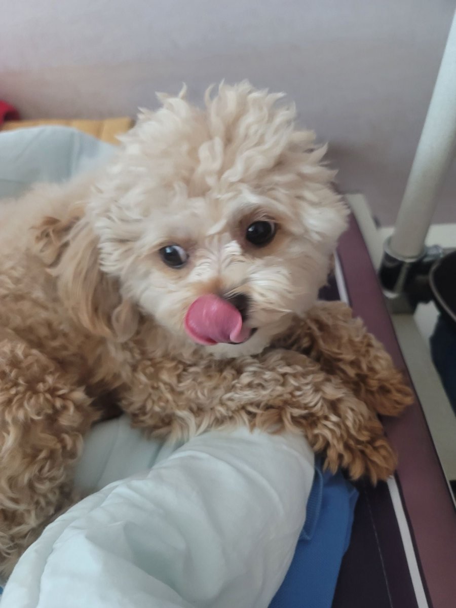 ̻ڴ ƼǪ