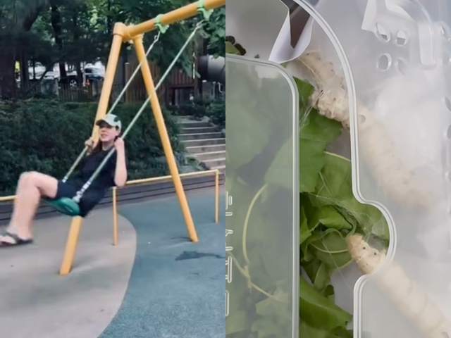  տ  17 ڽ Ҽ ̵ ΰ  ׳׸ Ÿ () ڽ Ű    ÷ȴ. /νŸ׷ ĸó